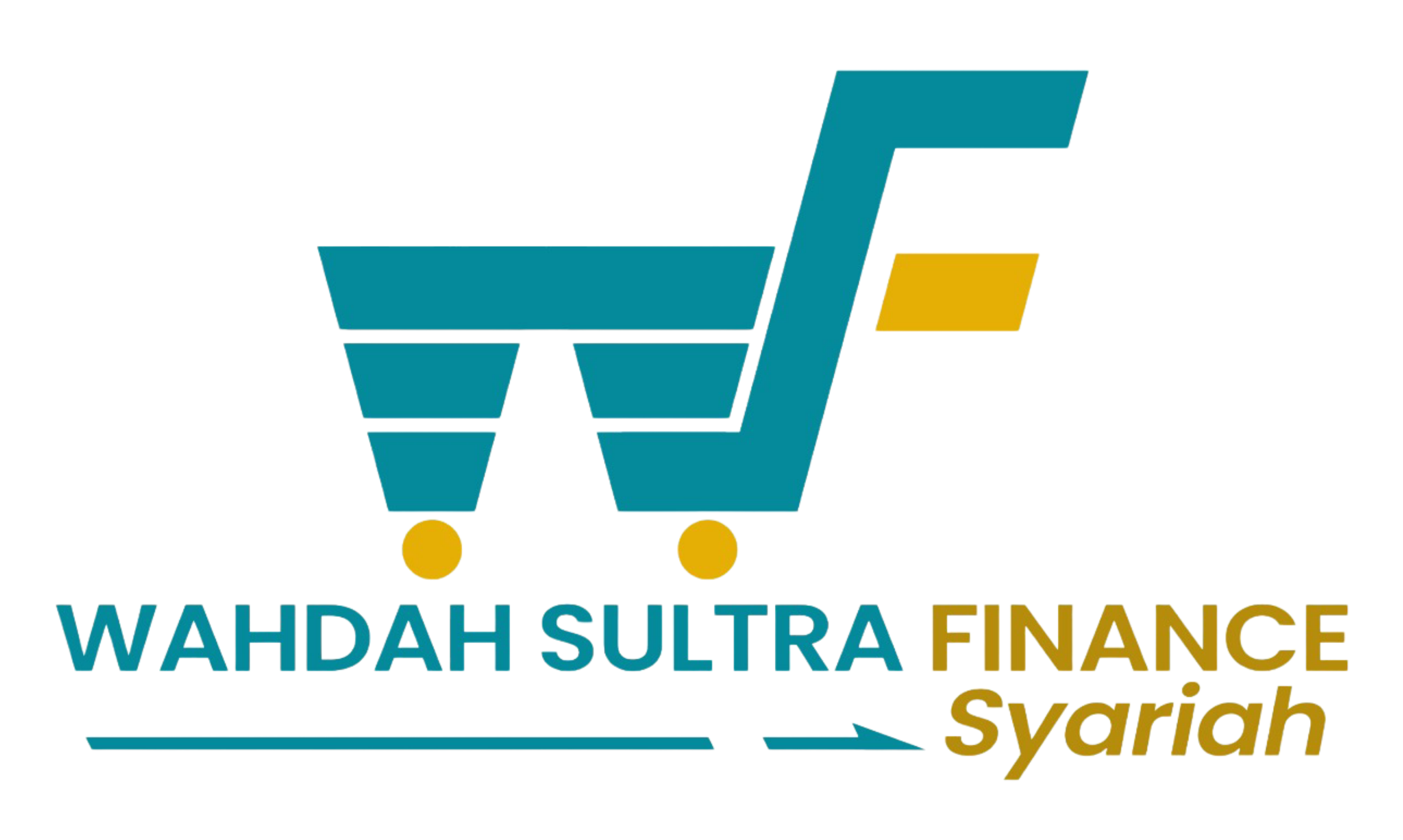 Logo WSFS